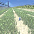 Wheat Growing Just Outside the Greenhouse